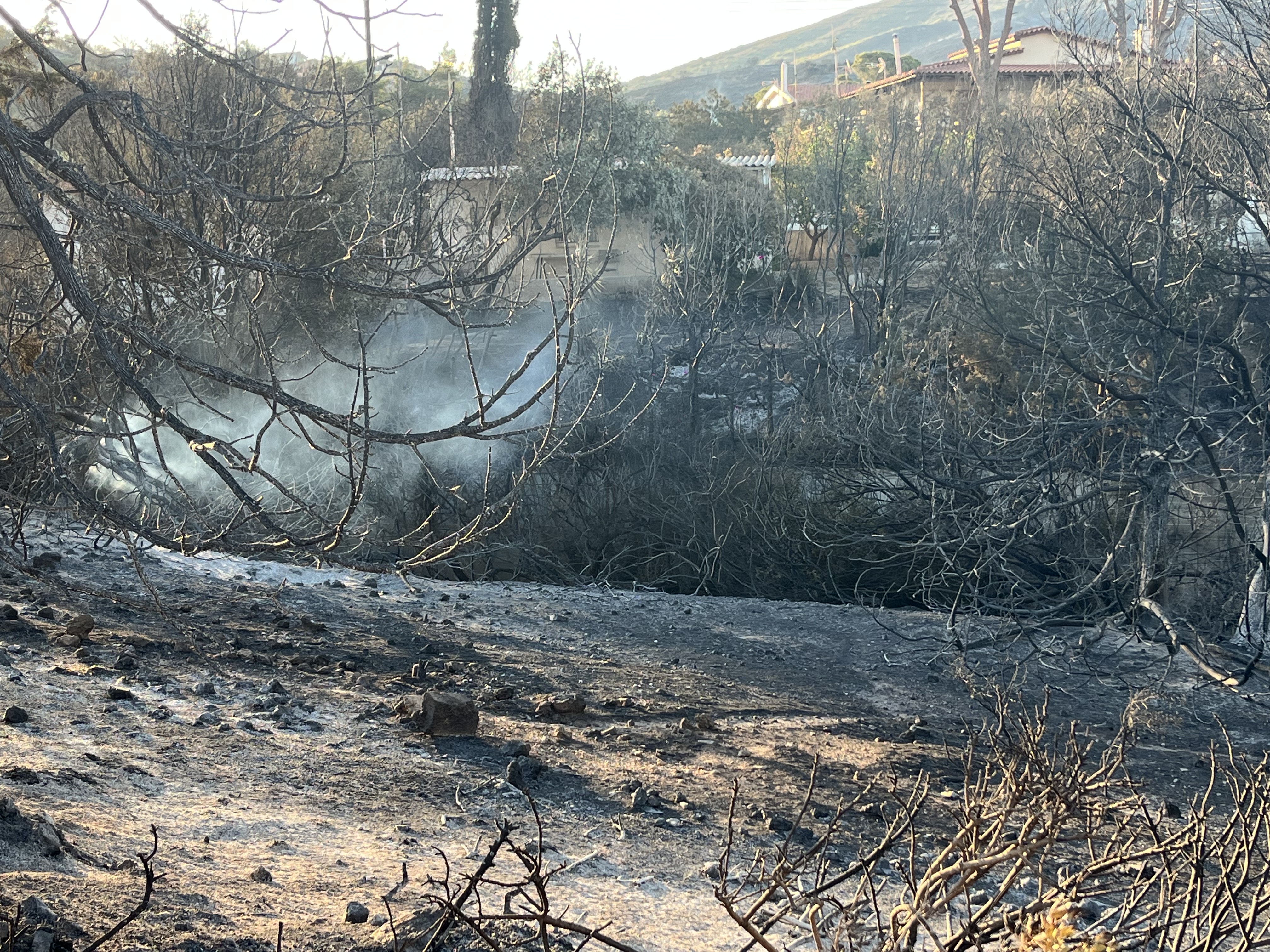 Οδοιπορικό στο Θυμάρι: Η επόμενη μέρα της φωτιάς – «Μας είχε περικυκλώσει, ζήσαμε μια κόλαση»-3