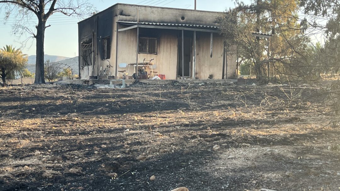 οδοιπορικό-στο-θυμάρι-η-επόμενη-μέρα-τ-563685010