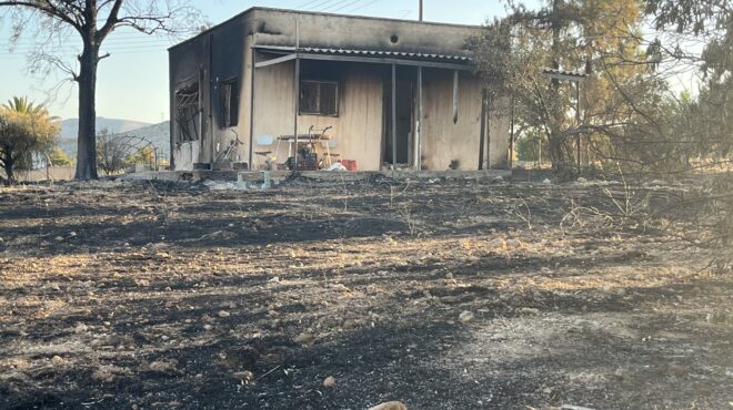 οδοιπορικό-στο-θυμάρι-η-επόμενη-μέρα-τ-563685010