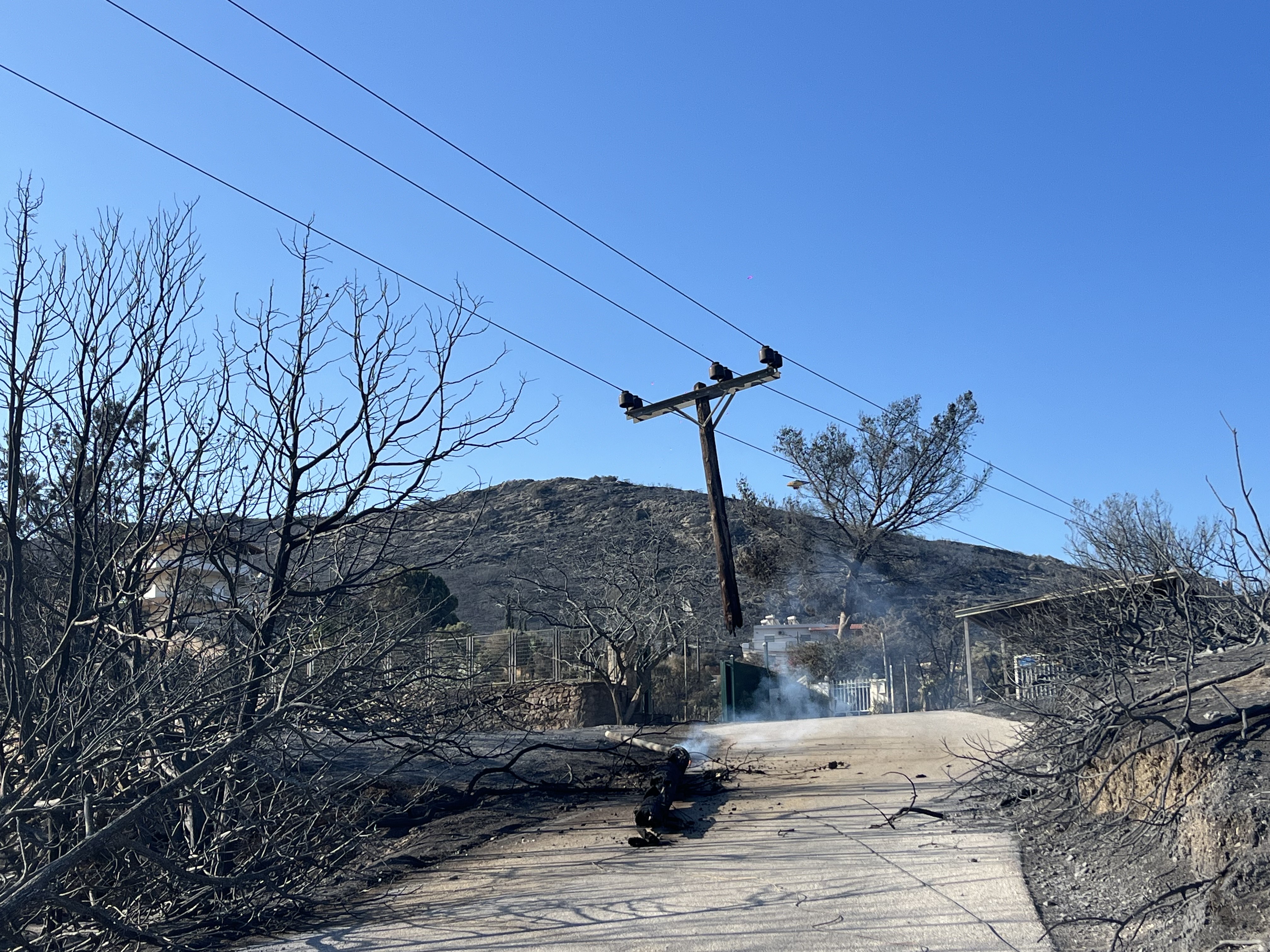 Οδοιπορικό στο Θυμάρι: Η επόμενη μέρα της φωτιάς – «Μας είχε περικυκλώσει, ζήσαμε μια κόλαση»-1