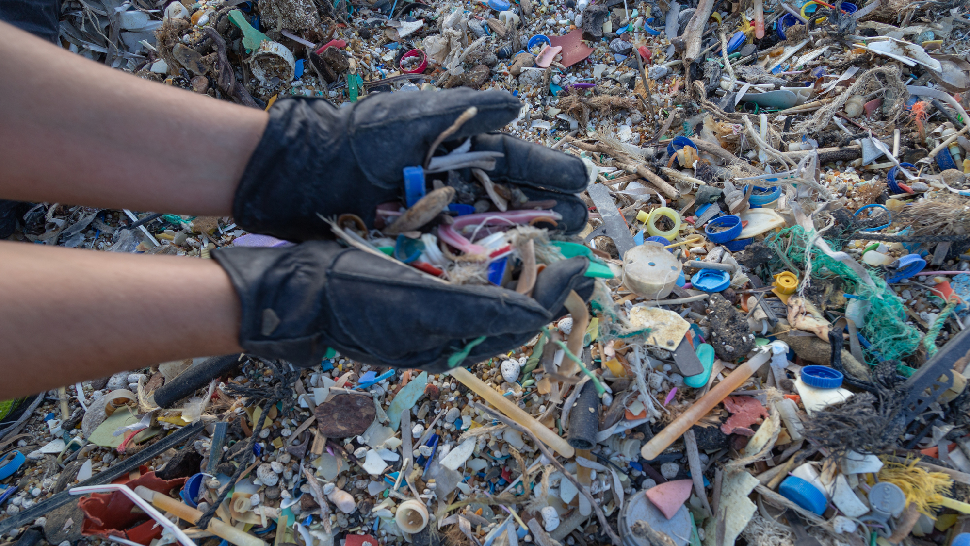 «Τα βγάλατε όλα αυτά από τη θάλασσα της Αλοννήσου;»-7