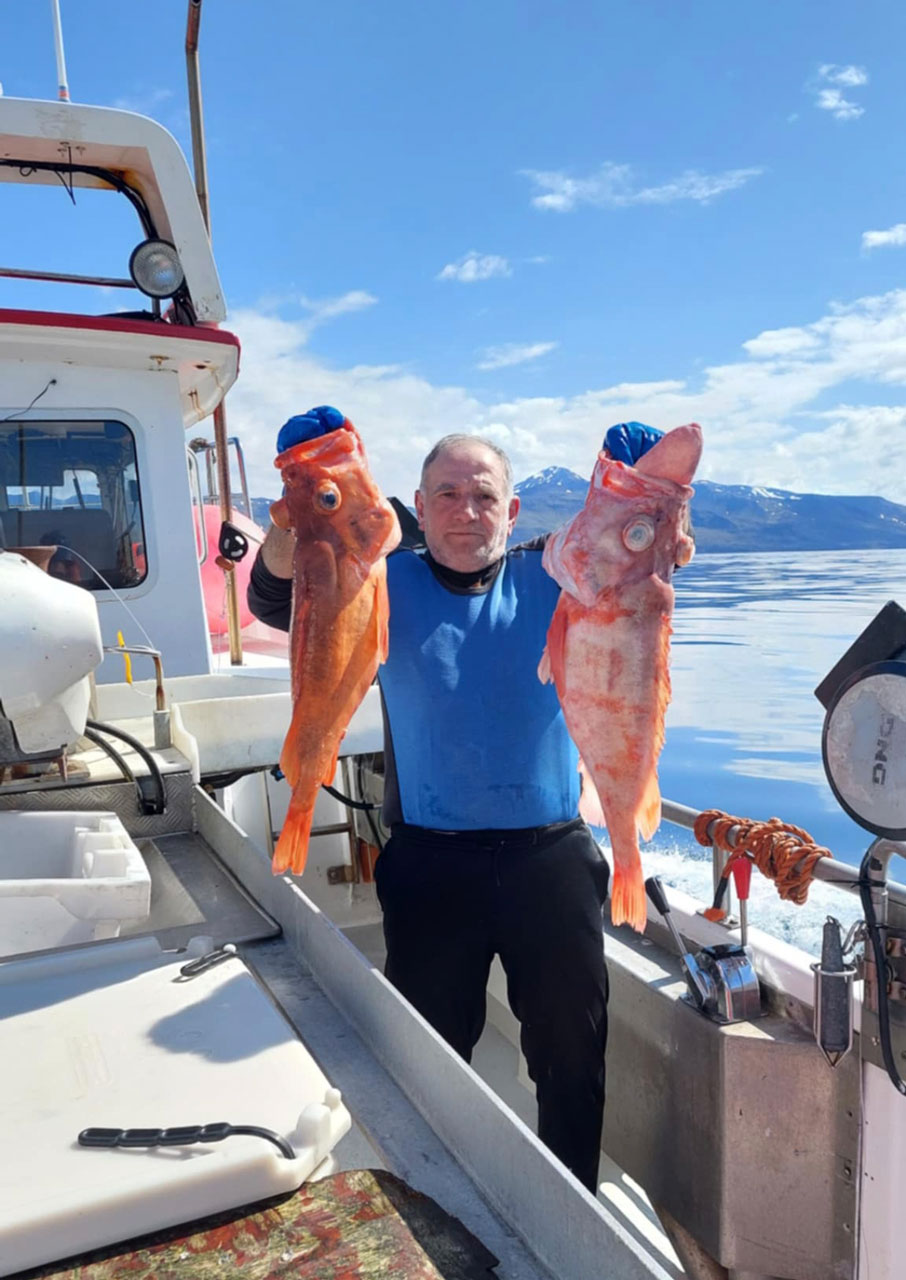 Τι κάνουν τόσοι Eλληνες στην Ισλανδία;-3