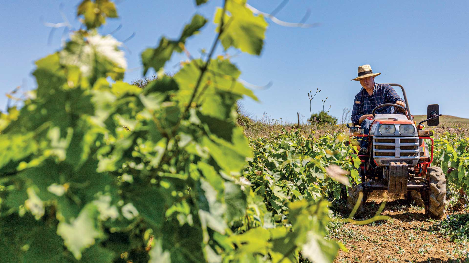 Στη Λήμνο, για ένα καλοκαίρι όπως παλιά-9