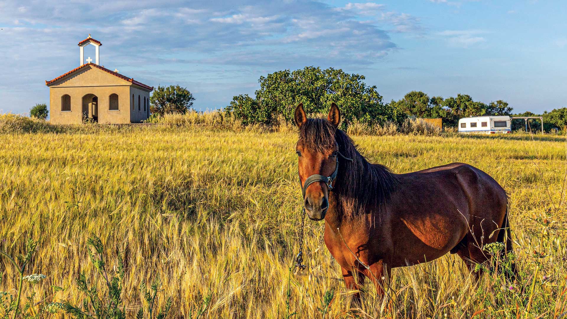 Στη Λήμνο, για ένα καλοκαίρι όπως παλιά-5