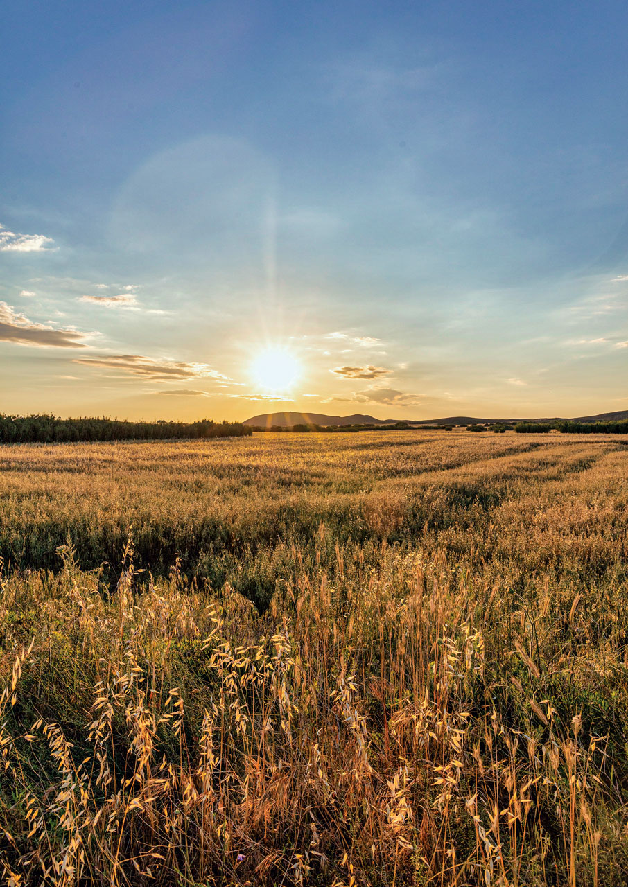 Στη Λήμνο, για ένα καλοκαίρι όπως παλιά-1