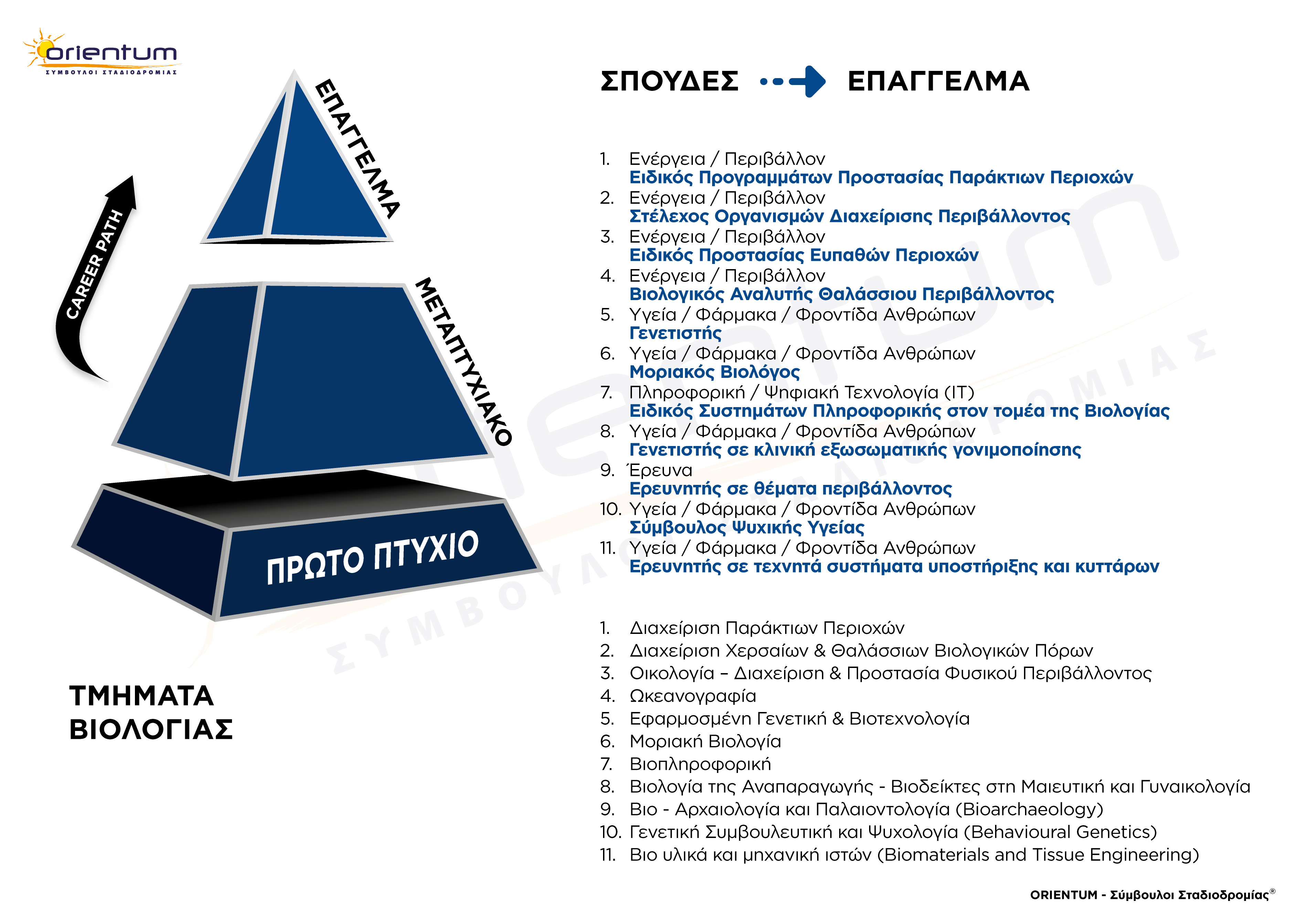 Πανελλαδικές 2025: Τα «κρυμμένα» επαγγέλματα πίσω από 7 δημοφιλείς σχολές-6
