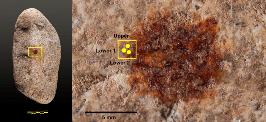 Οι αρχαιολόγοι έλυσαν το μυστήριο μιας αρχαίας κουκκίδας μέσω… εγκληματολόγων-3