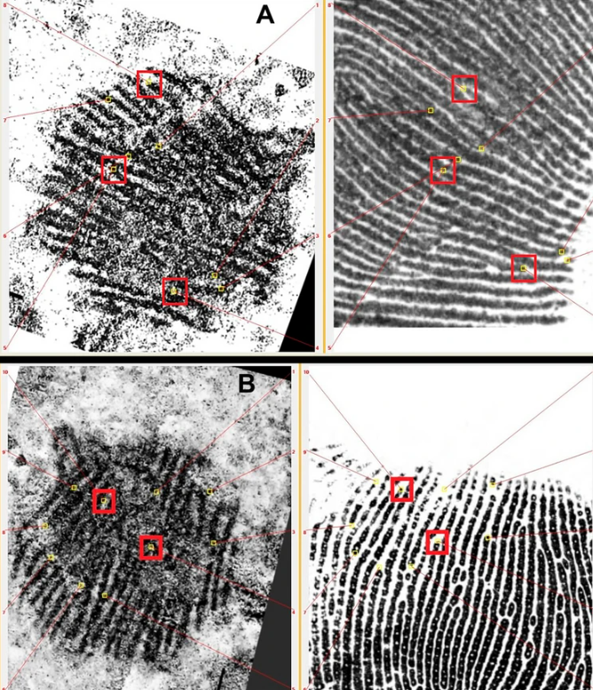 Οι αρχαιολόγοι έλυσαν το μυστήριο μιας αρχαίας κουκκίδας μέσω… εγκληματολόγων-1