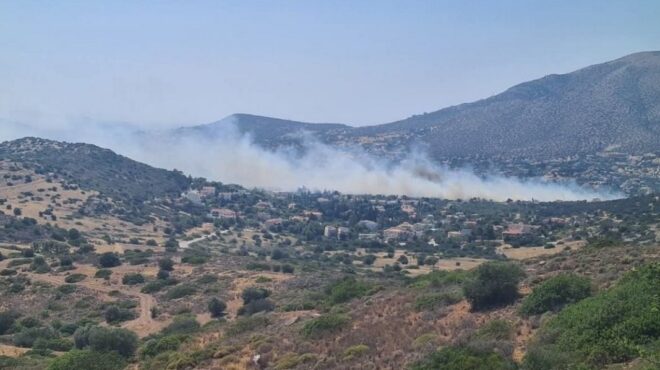 υπό-έλεγχο-η-φωτιά-στην-ανάβυσσο-μήν-563656279