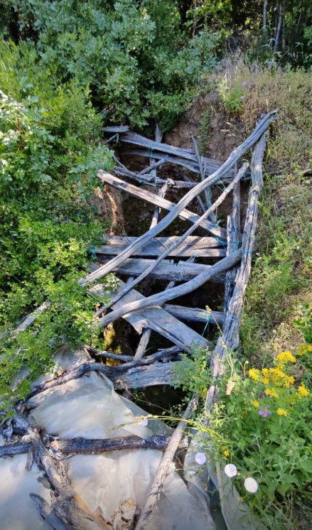 Ημαθία: Τρεις συλλήψεις για αρχαιοκαπηλία – Εσκαβαν σε αρχαιολογικό χώρο-2