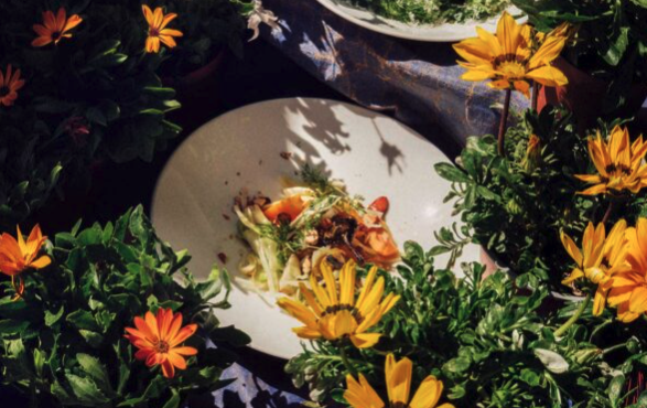 πράσινες-σαλάτες-αλλιώς-10-πρωτότυπες-563677255