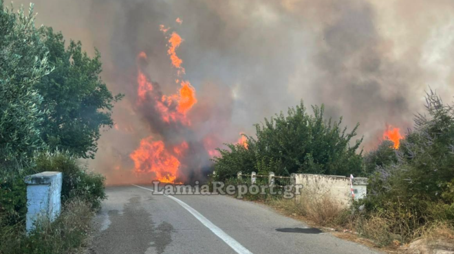 φωτιά-στη-φθιώτιδα-μεγάλη-κινητοποί-563690293