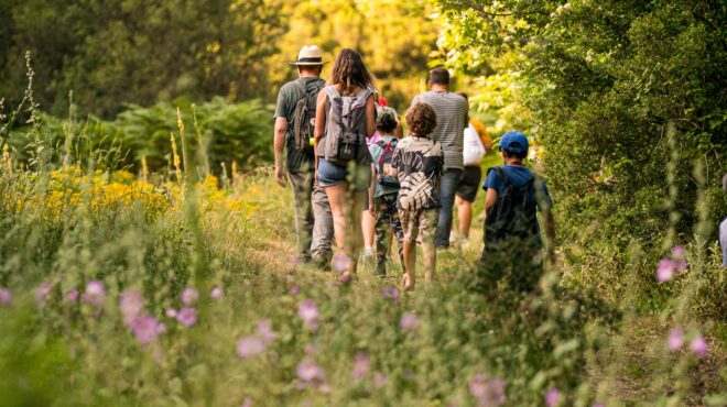 σκέιτ-γιόγκα-τέκνο-και-μπαλέτο-της-ελσ-563680084