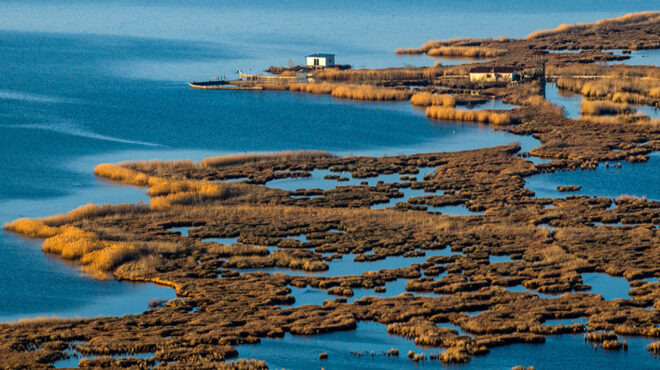 συνεργασία-nestle-εναλείας-και-πανεπιστ-563683072