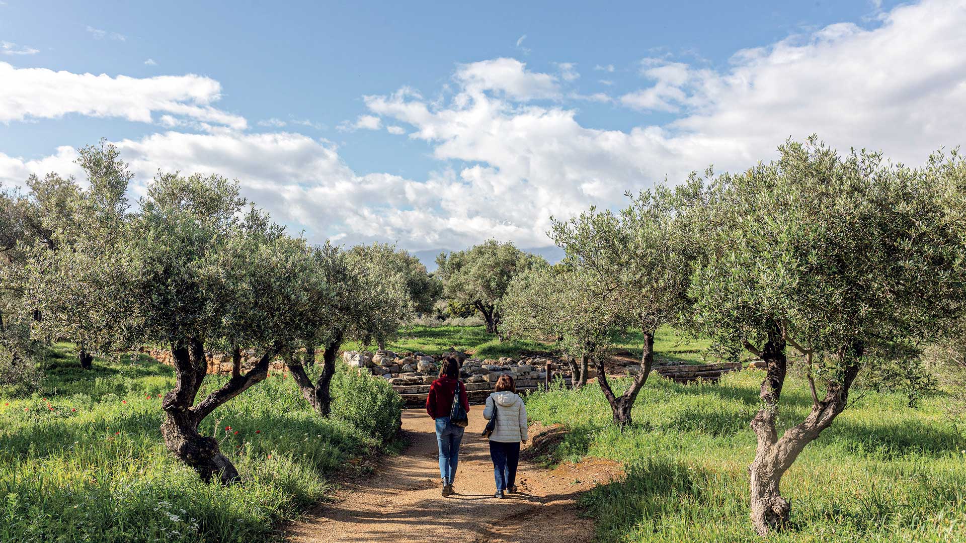 Απτερα: Η αρχαία πόλη πιο ζωντανή από ποτέ-4
