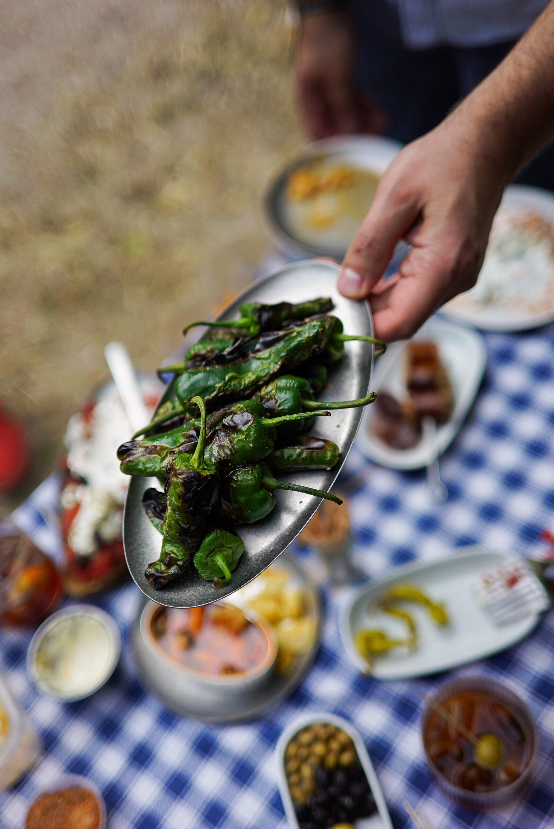 ¡Topa!  Ενα νέο καφενείο στην καρδιά της Κυψέλης-5