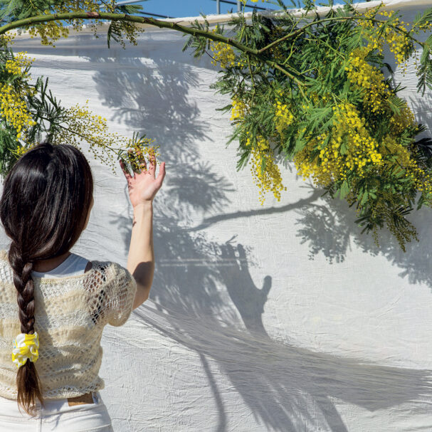 γαζία-σαγηνευτική-όψη-και-ευωδιά-563649586