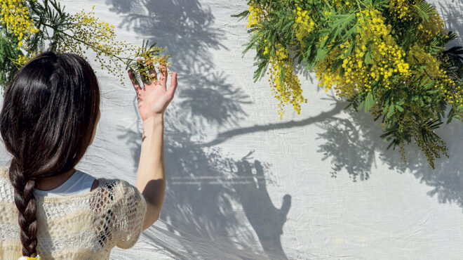 γαζία-σαγηνευτική-όψη-και-ευωδιά-563649586