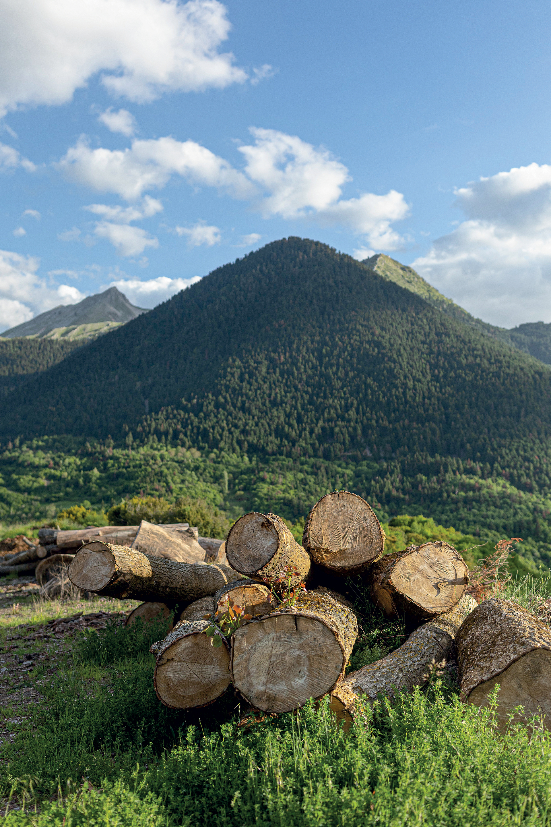 Το μυστικό της επιτυχίας του Μετσόβου-1