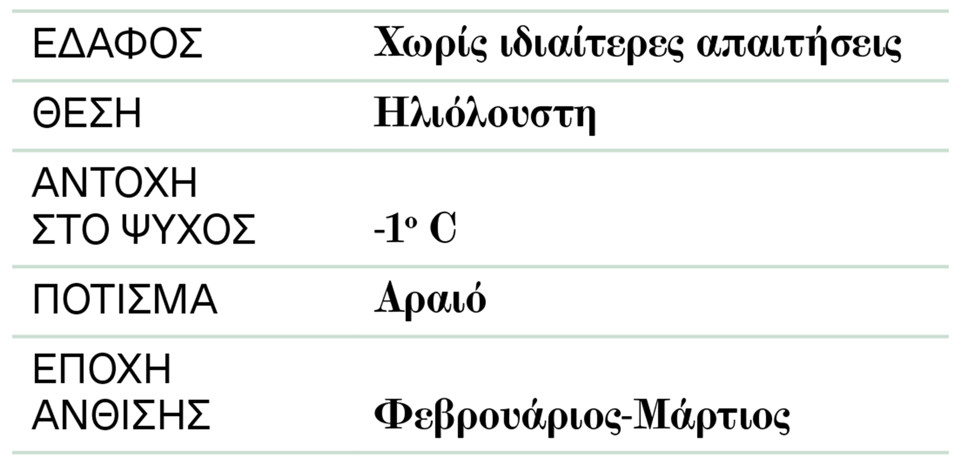 Γαζία: Σαγηνευτική όψη και ευωδιά-2