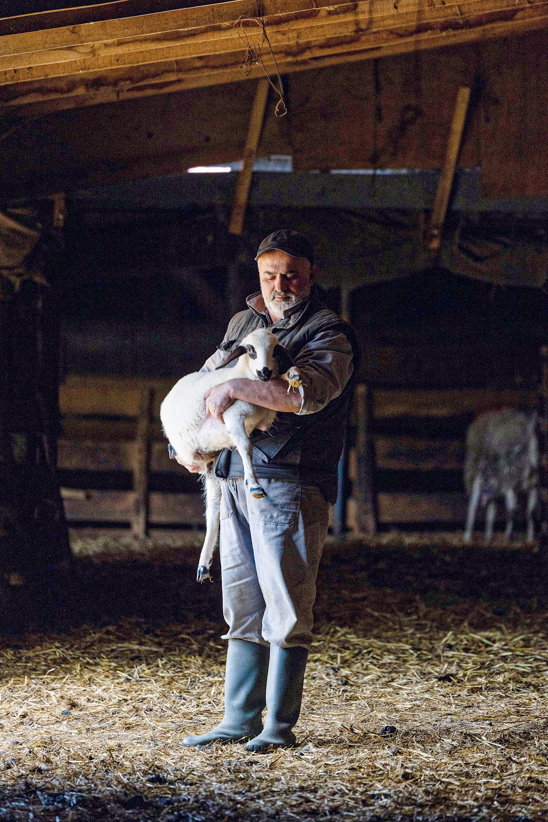 Το μυστικό της επιτυχίας του Μετσόβου-3