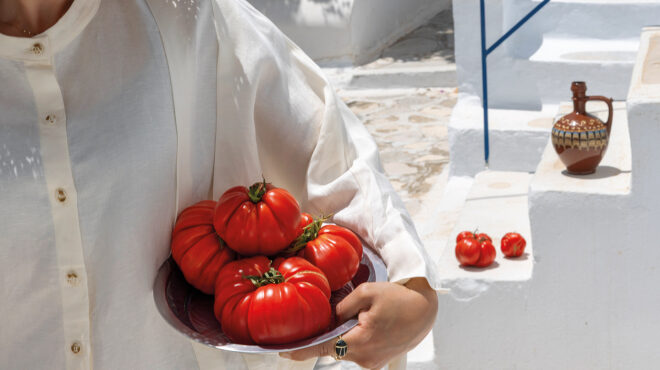 όσα-πρέπει-να-ξέρετε-για-την-ντομάτα-τη-563683627