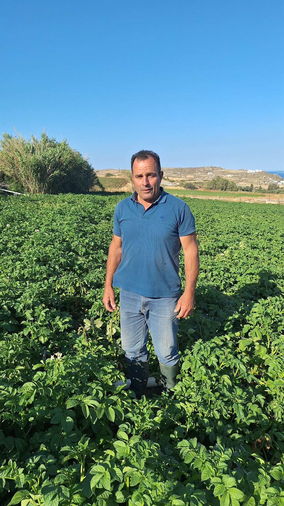 «Ενα ένα τα χωράφια χτίζονται»-3