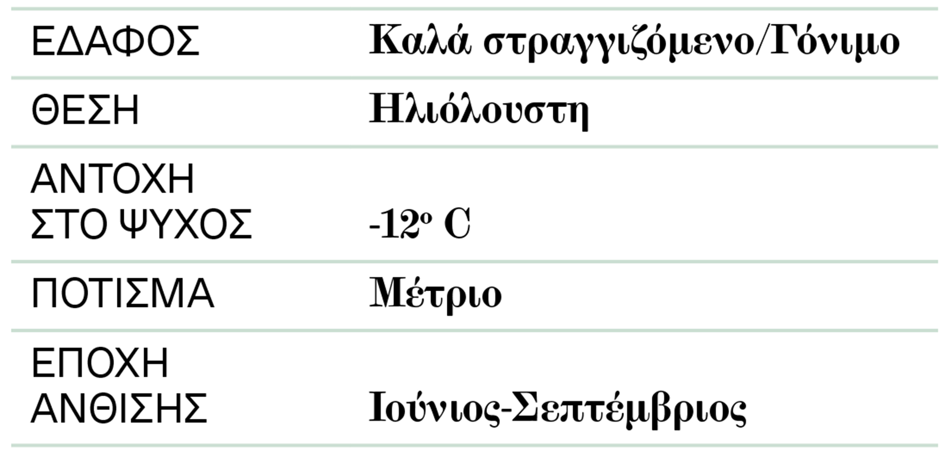 Εκινάτσια: Δρα ενάντια στον πονόδοντο και τον έντονο βήχα-2
