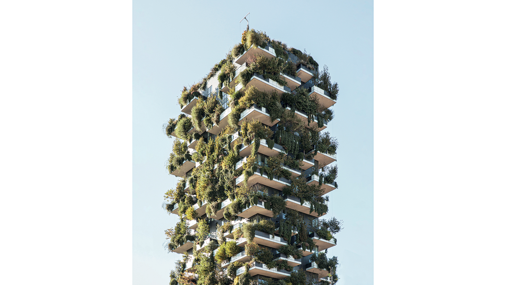 σύντομη-γνωριμία-με-τους-κρεμαστούς-κ-563673346