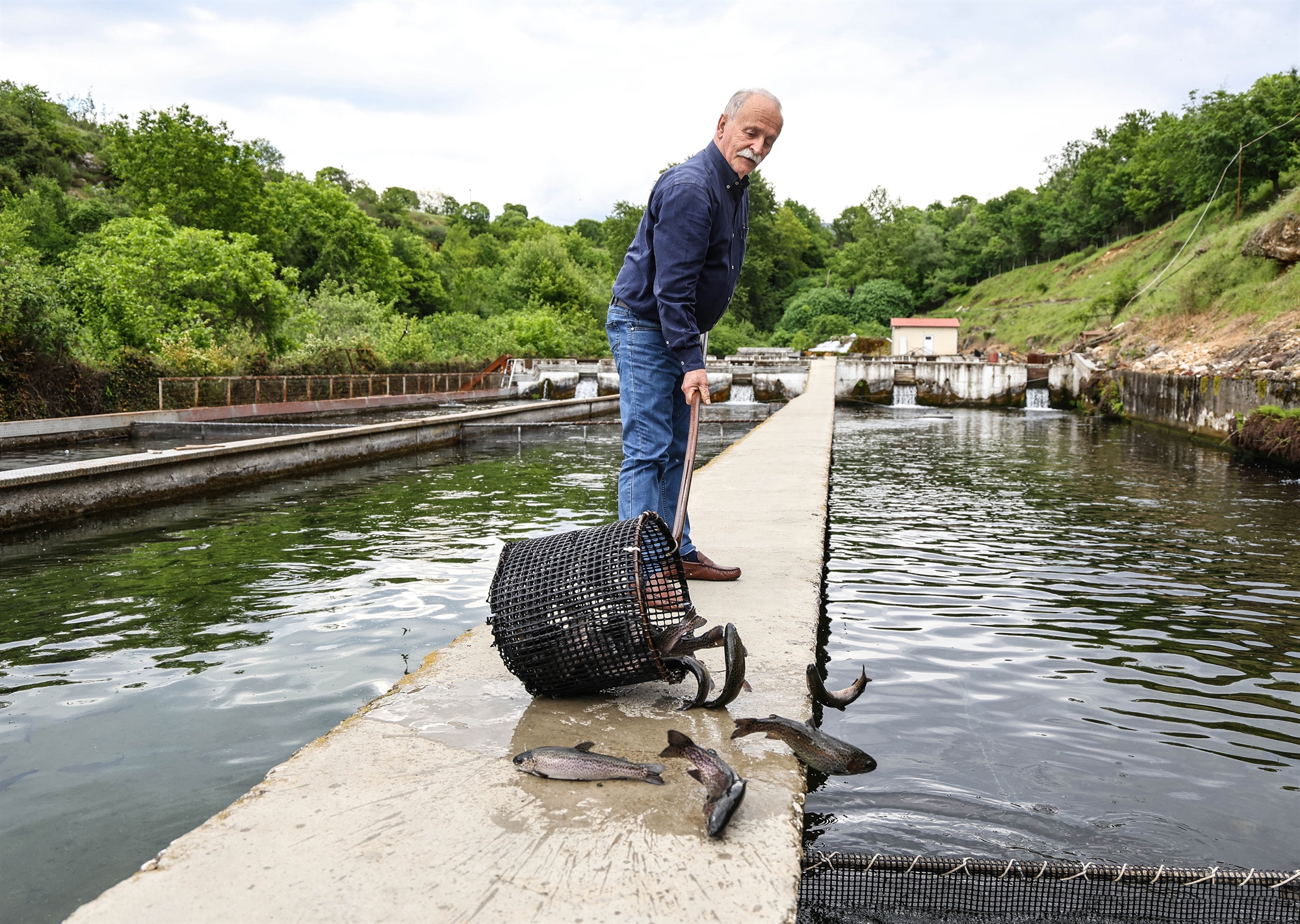 Οι Σέρρες, το τραύμα και οι γείτονες-5