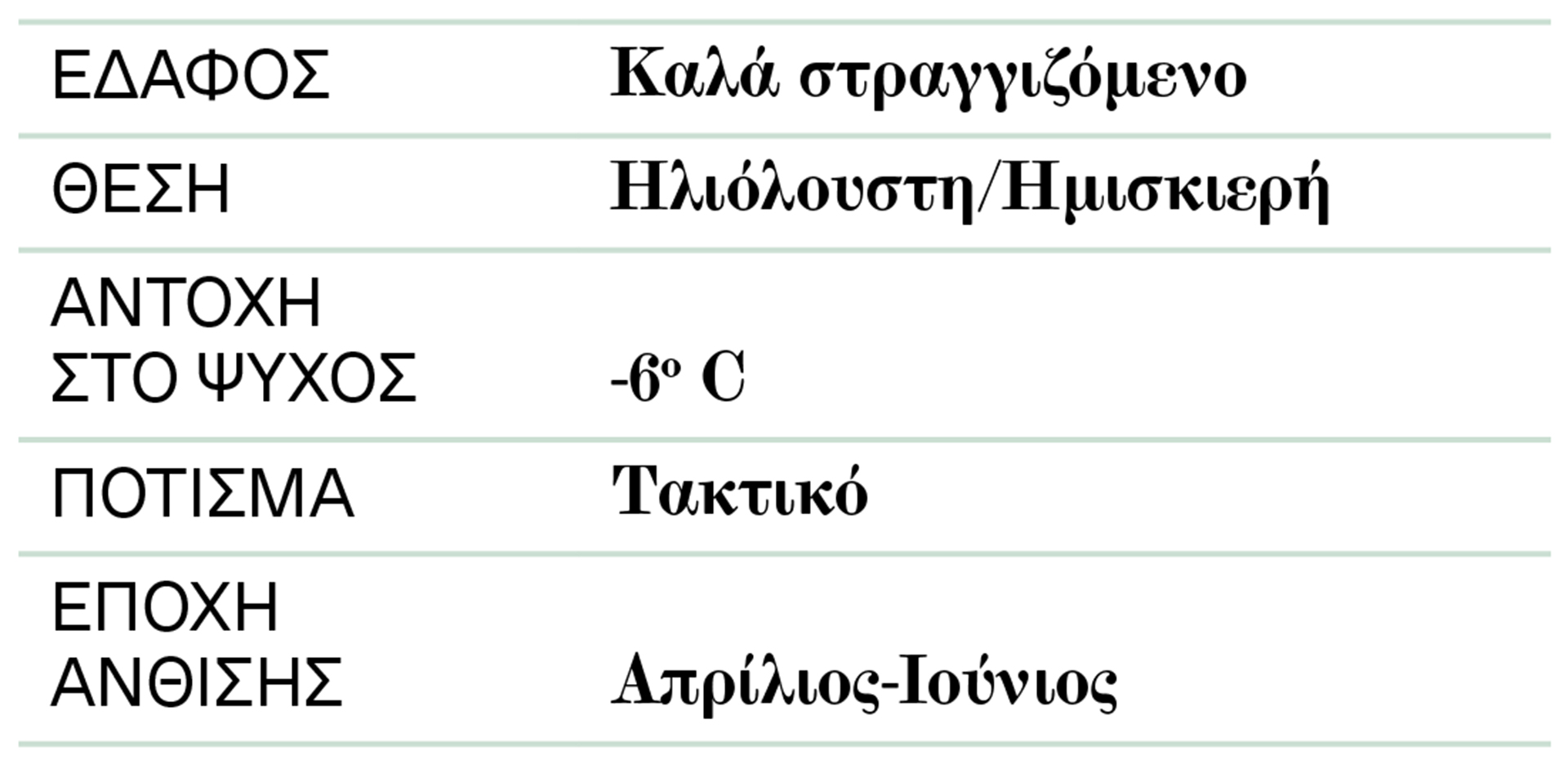Γιασεμί: Αγχολυτικό, αντικαταθλιπτικό-2