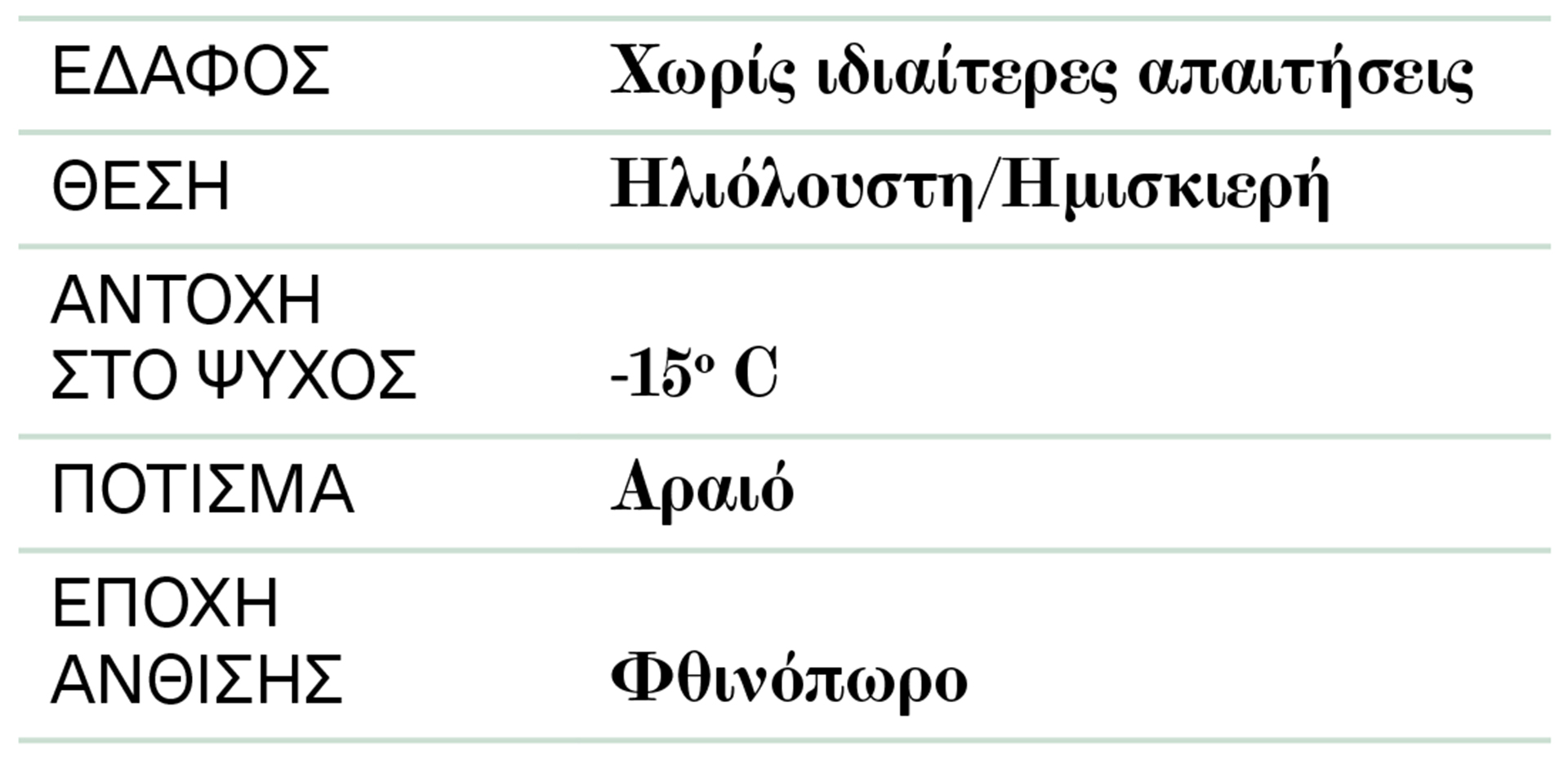 Ελαίαγνος: Με απολαυστικό άρωμα και σπουδαία γεύση-2