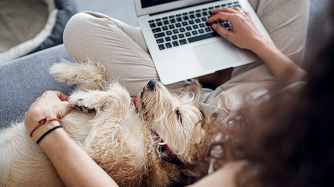 γίνεται-να-κολλήσουμε-στρες-τον-σκύ-563652004