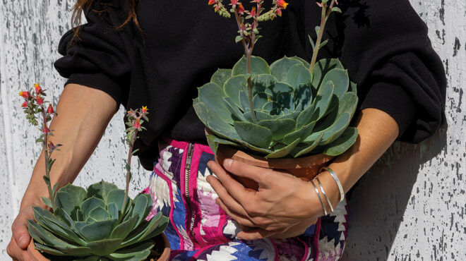 ετσεβέρια-μαγνητίζει-τα-βλέμματα-με-τ-563669152