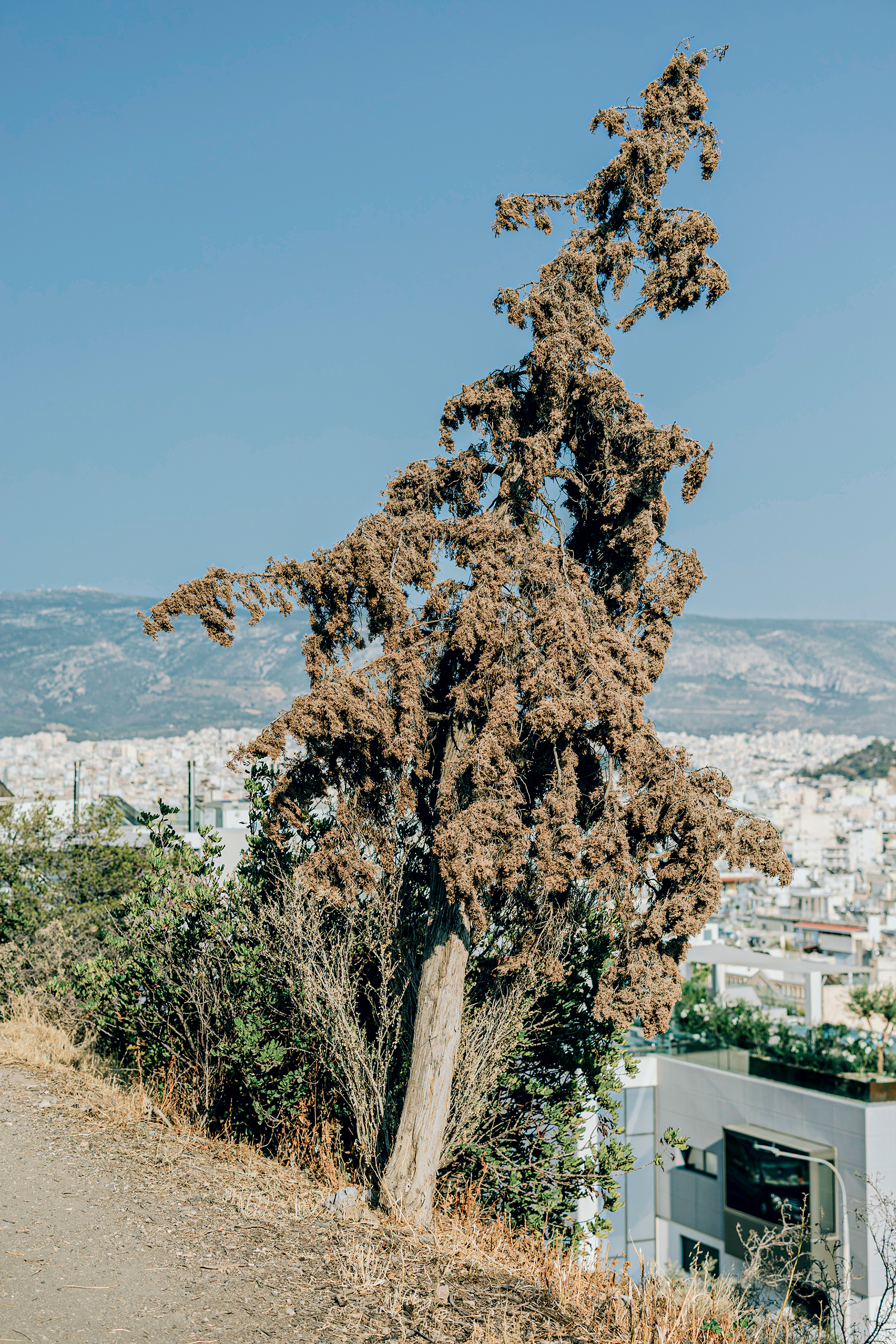 Θα σταθεί στο ύψος του ο λόφος Φιλοπάππου;-3