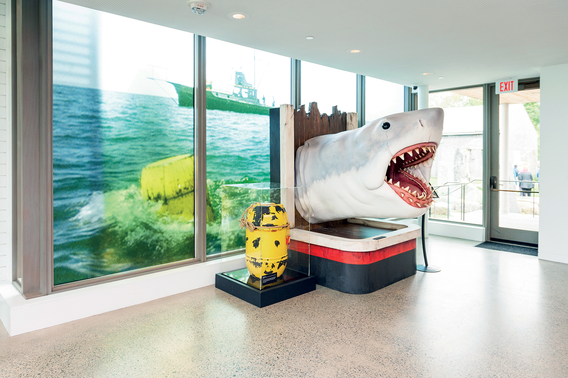 H ταινία που μας έκανε να φοβόμαστε τη θάλασσα-3