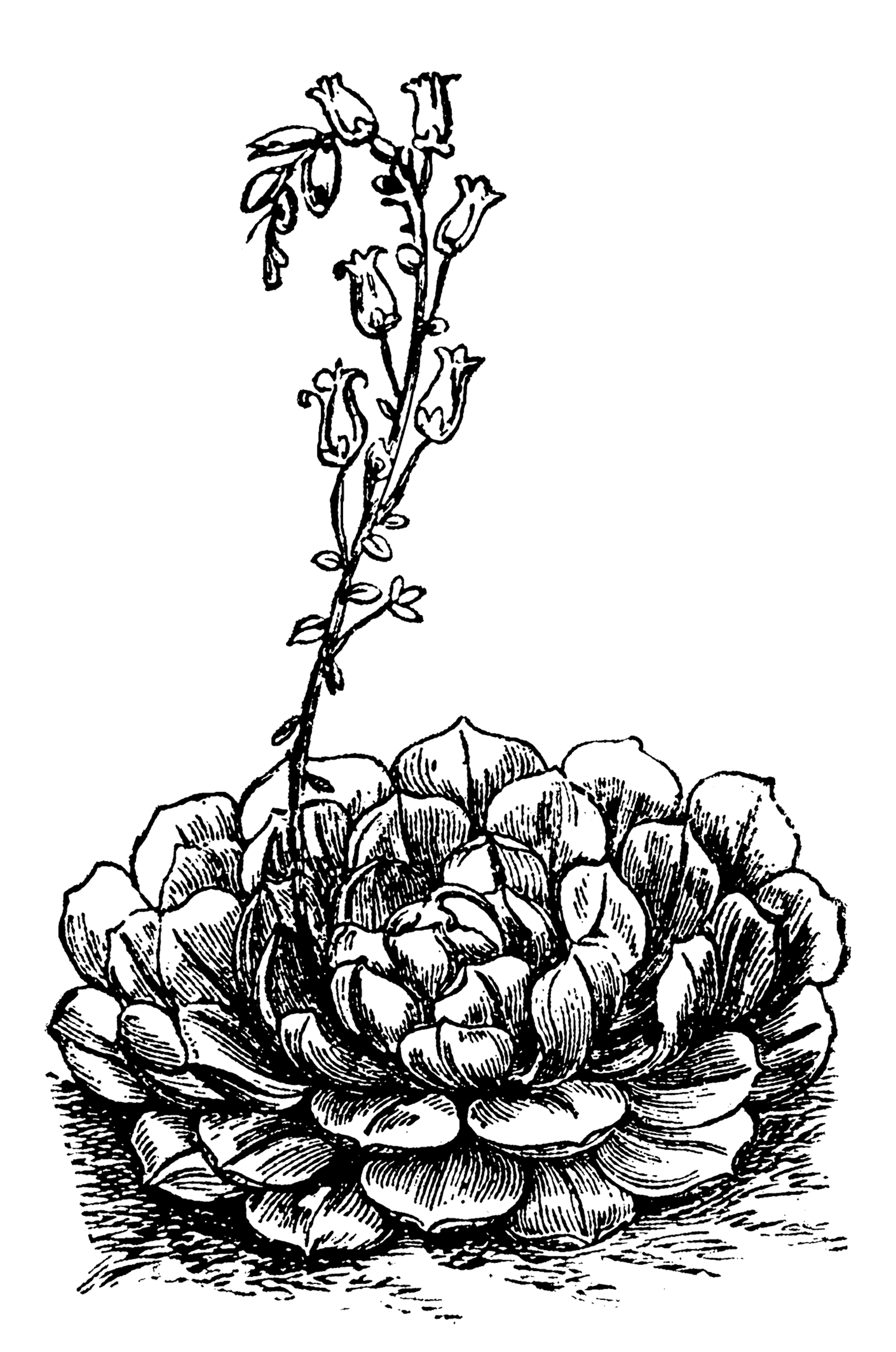 Ετσεβέρια: Μαγνητίζει τα βλέμματα με την αρχιτεκτονική της στιβαρότητα-1