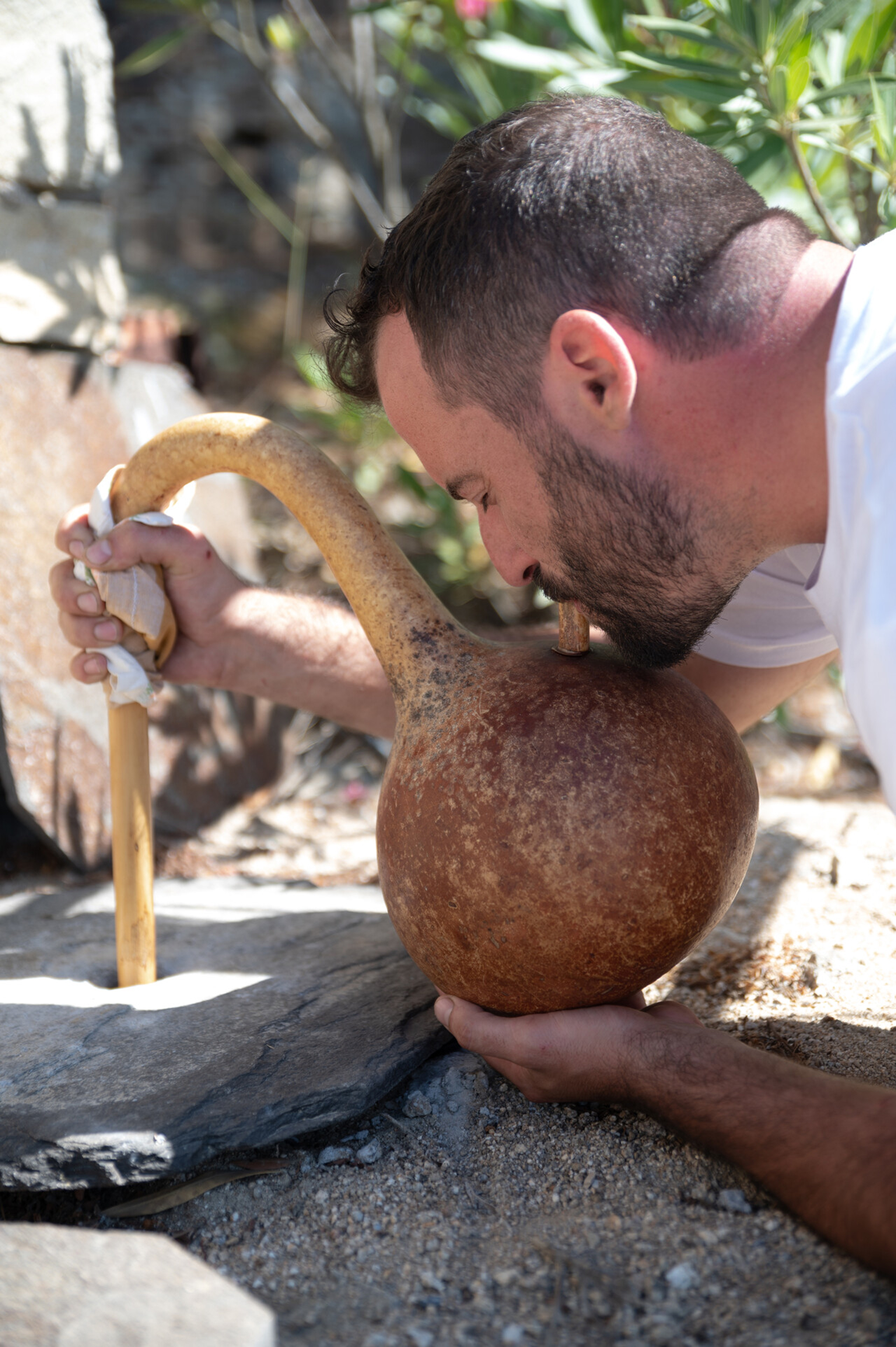 Ekies Walks: Ο οινοπαραγωγός Κωνσταντίνος Αφιανές ανοίγει τη σεζόν και παρουσιάζει τον ικαριώτικο αμπελώνα στη Χαλκιδική-1