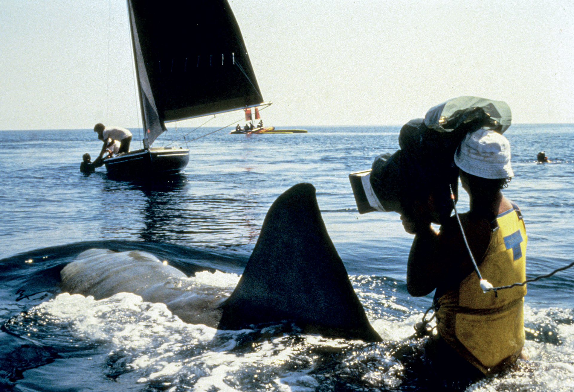 H ταινία που μας έκανε να φοβόμαστε τη θάλασσα-4