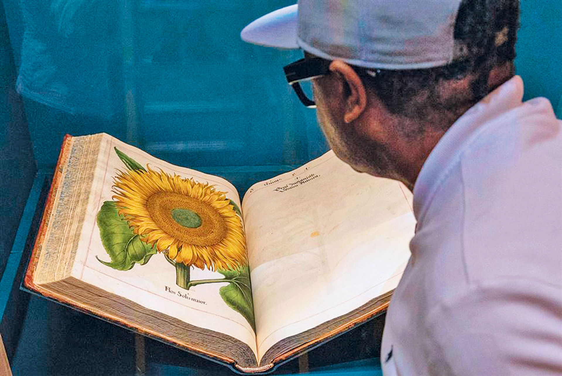 Τζένι Σάβιλ, η ανατομία της ζωγραφικής-4