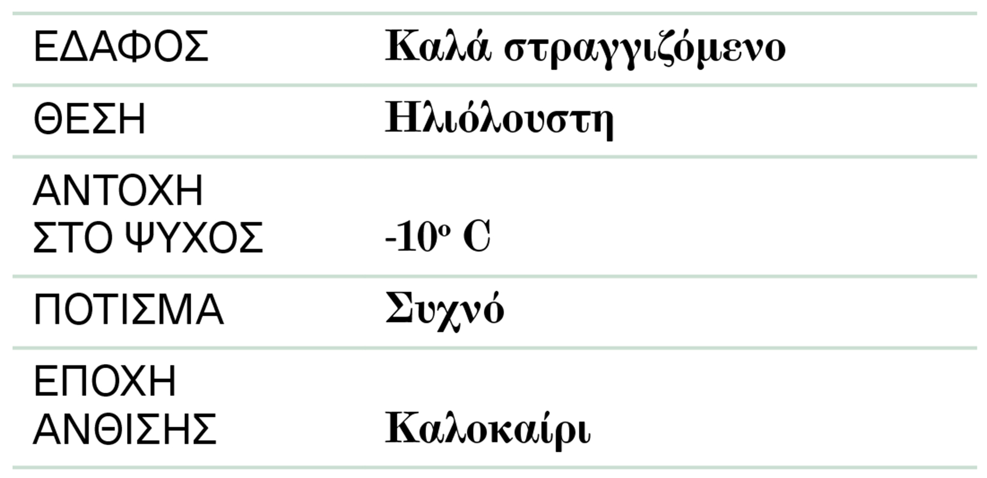 Δυόσμος: Φυσικό αναψυκτικό, ανακουφίζει από δυσπεψία-2