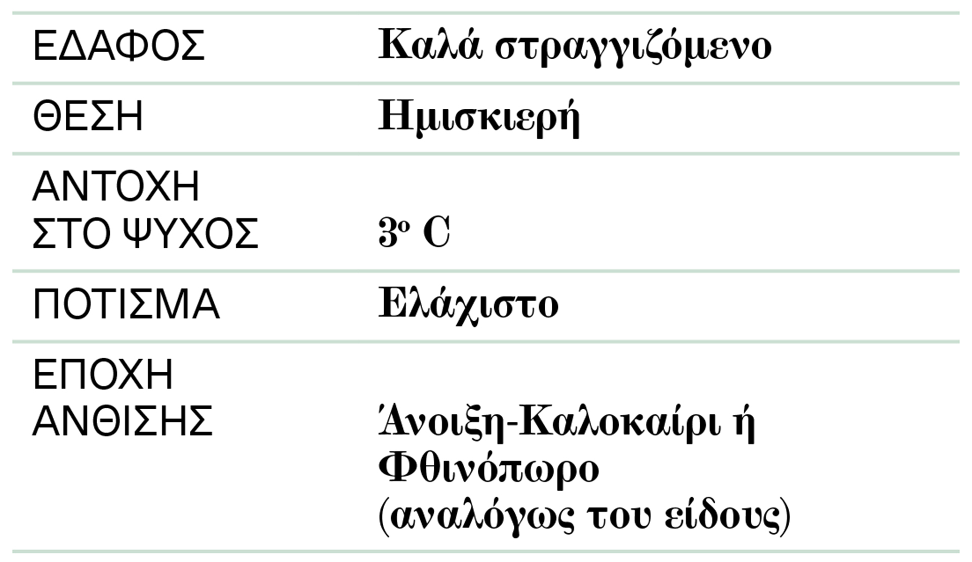 Ετσεβέρια: Μαγνητίζει τα βλέμματα με την αρχιτεκτονική της στιβαρότητα-2
