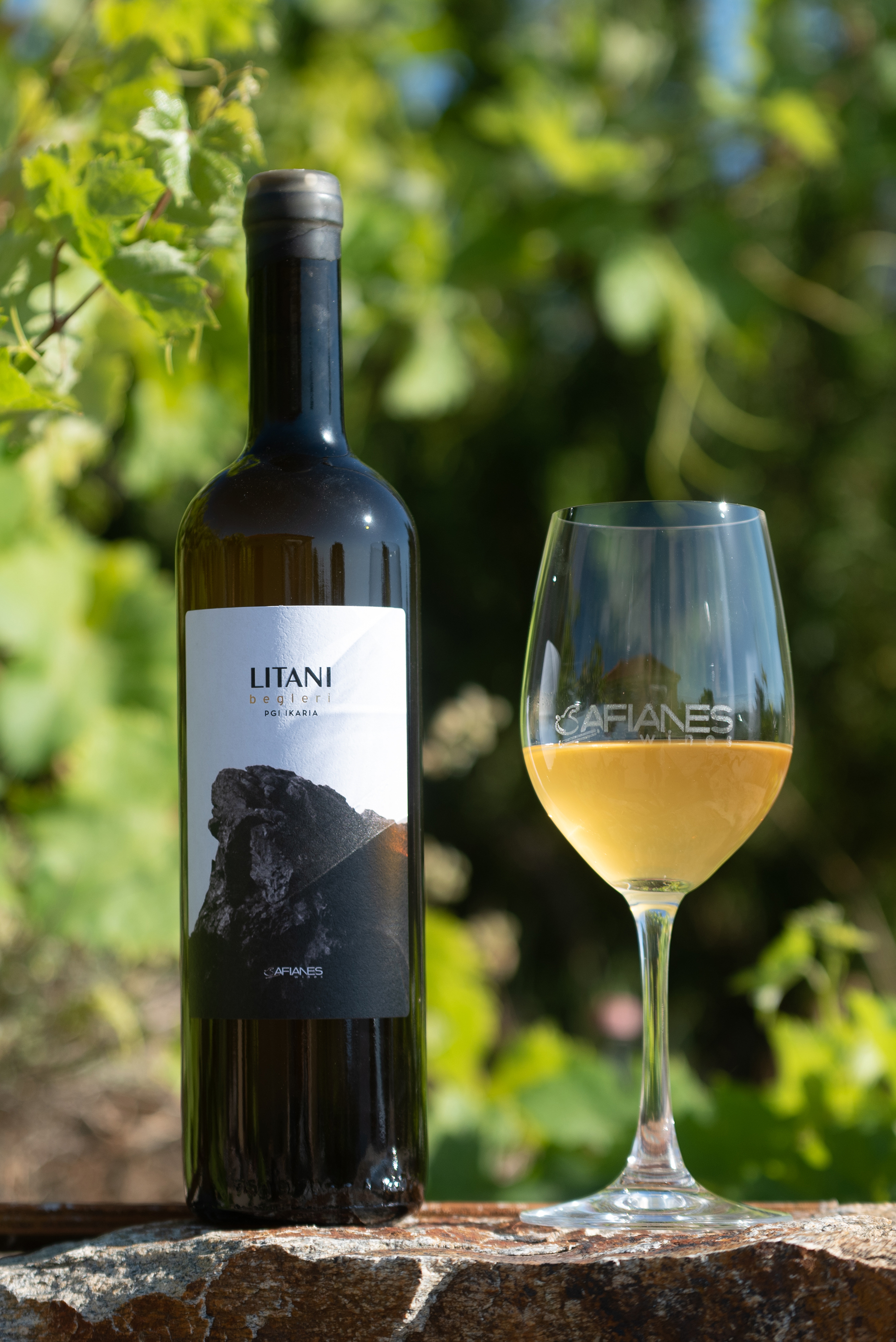 Ekies Walks: Ο οινοπαραγωγός Κωνσταντίνος Αφιανές ανοίγει τη σεζόν και παρουσιάζει τον ικαριώτικο αμπελώνα στη Χαλκιδική-2