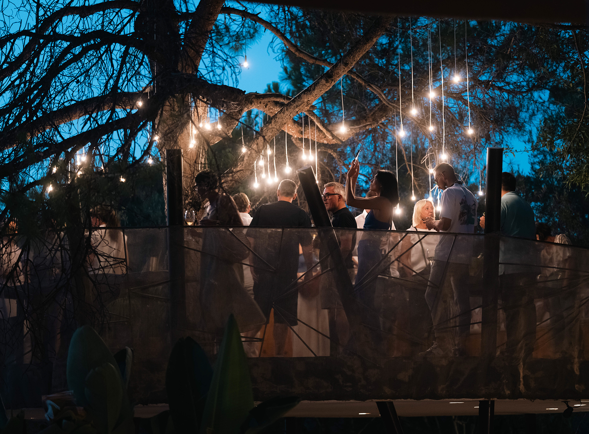 Ekies Walks: Ο οινοπαραγωγός Κωνσταντίνος Αφιανές ανοίγει τη σεζόν και παρουσιάζει τον ικαριώτικο αμπελώνα στη Χαλκιδική-3