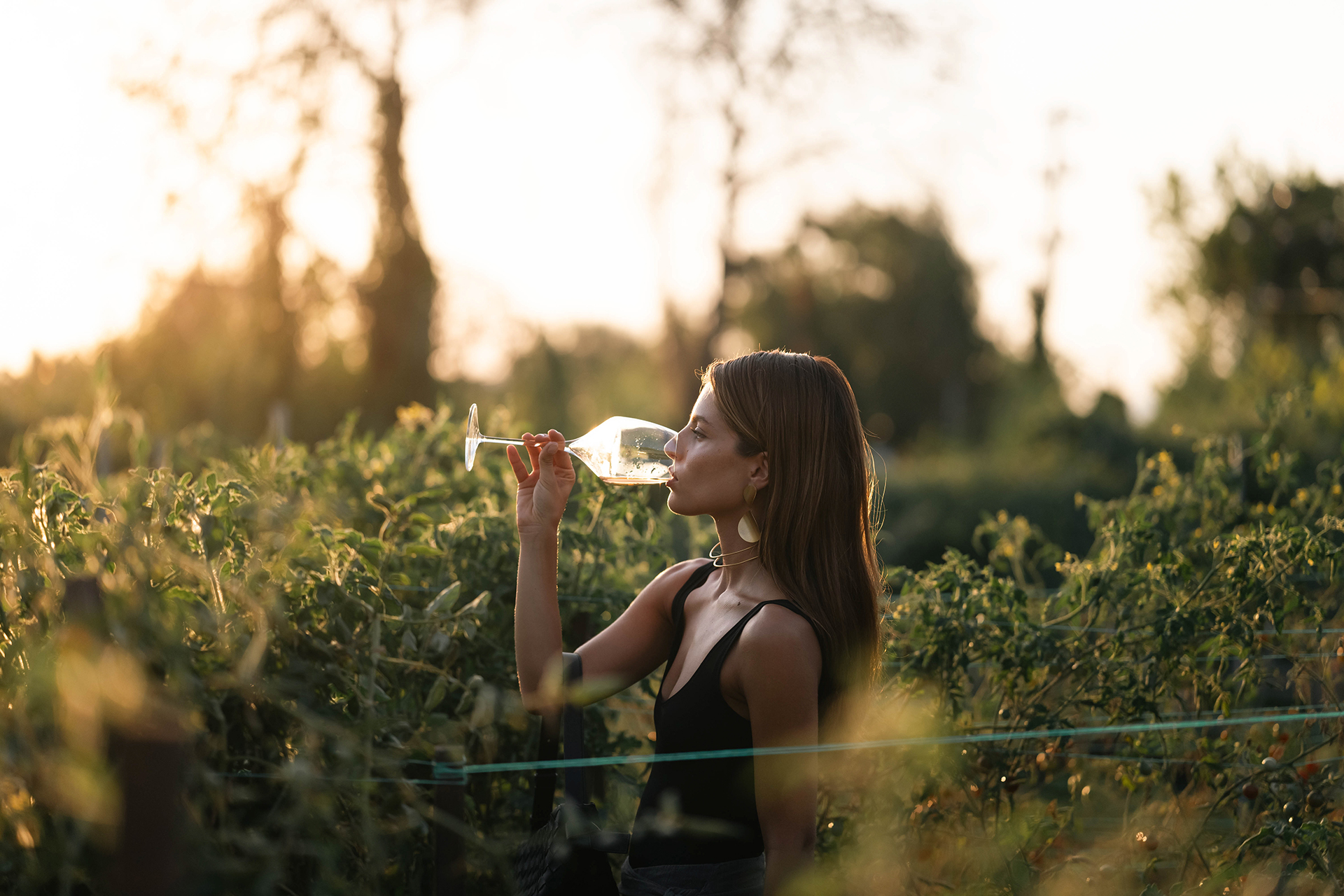 Ekies Walks: Ο οινοπαραγωγός Κωνσταντίνος Αφιανές ανοίγει τη σεζόν και παρουσιάζει τον ικαριώτικο αμπελώνα στη Χαλκιδική-4