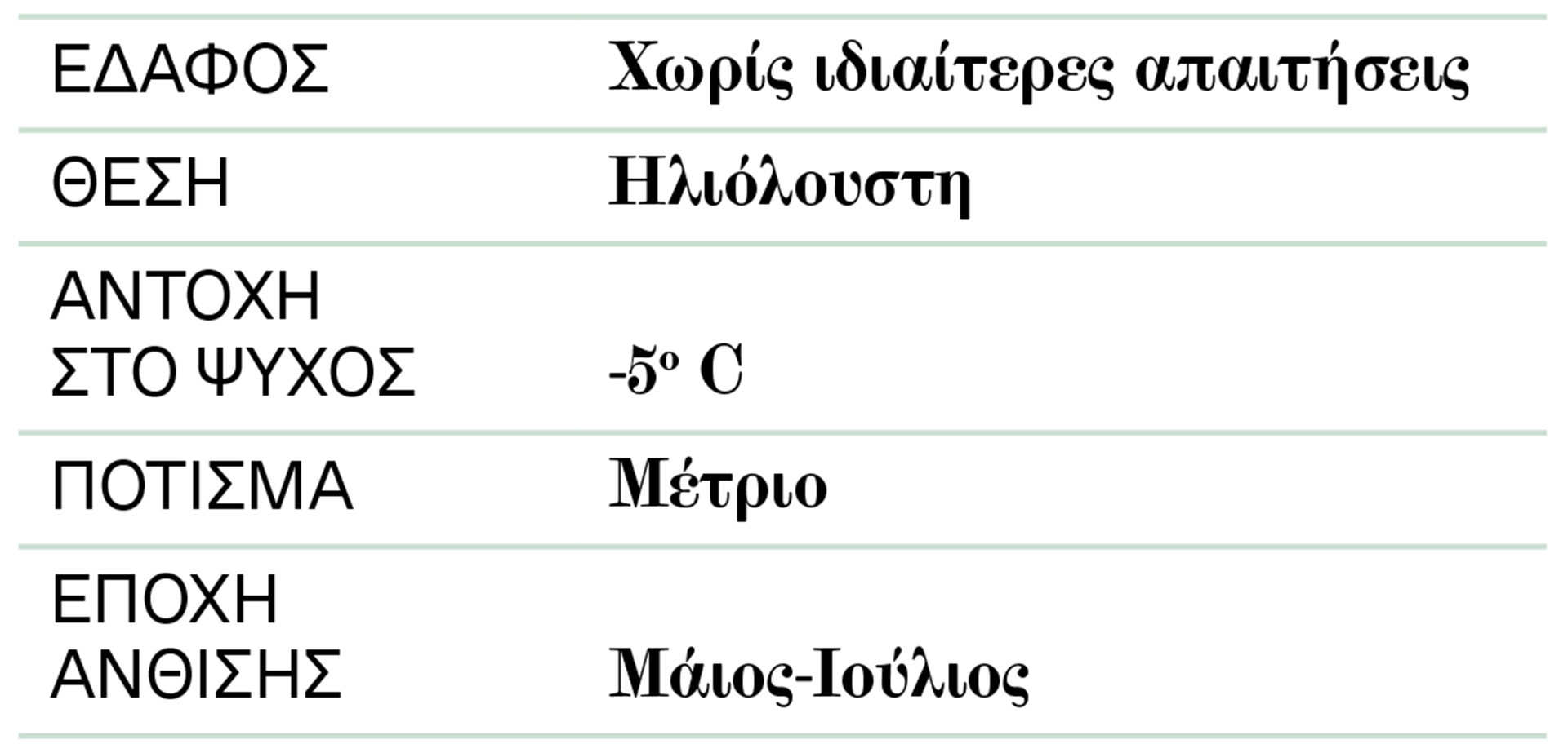 Δωδωναία: Θωρακίζει από τα αδιάκριτα βλέμματα-2