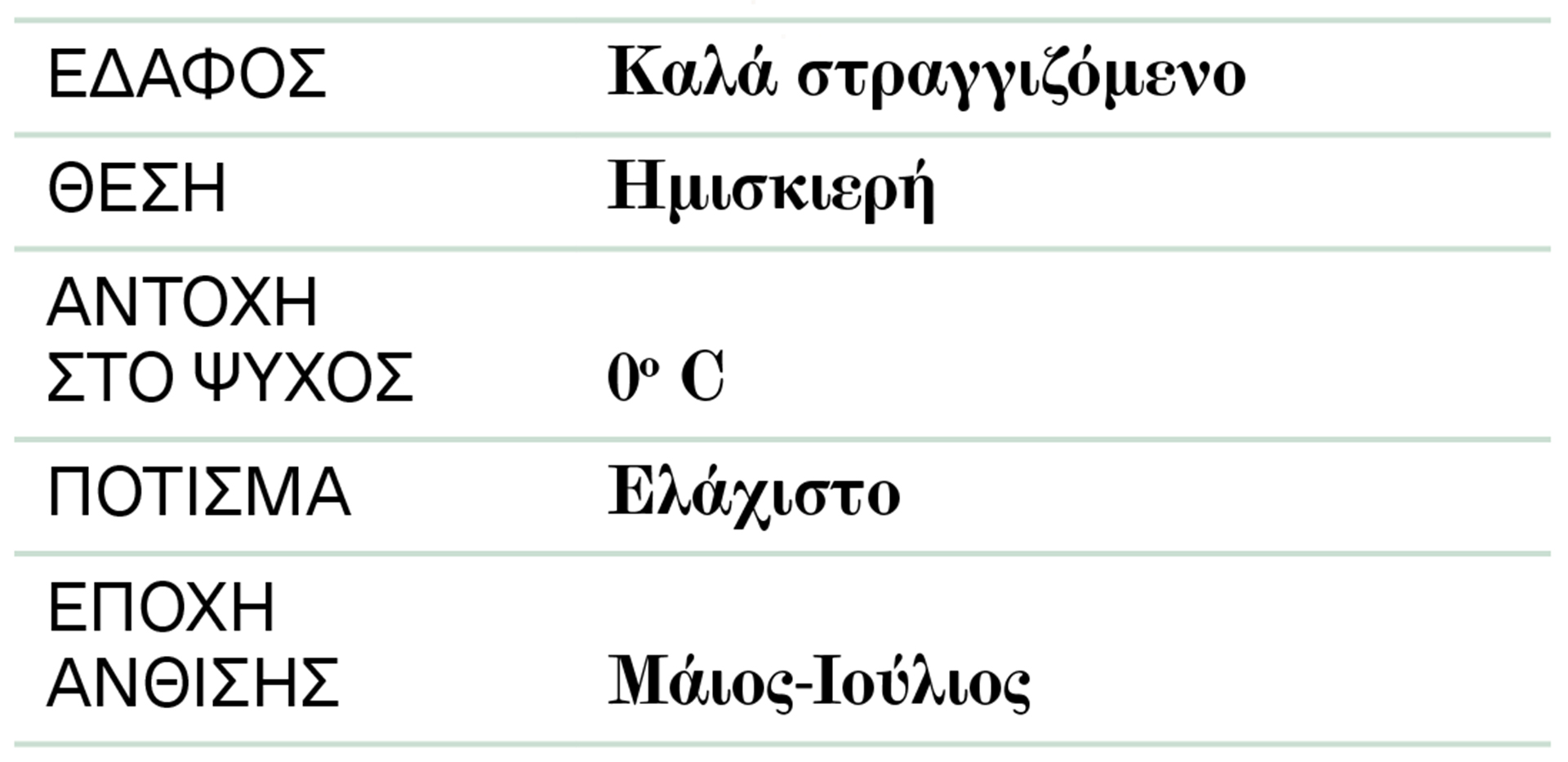 Ευφόρβιες: Προς τιμήν του Έλληνα γιατρού-2