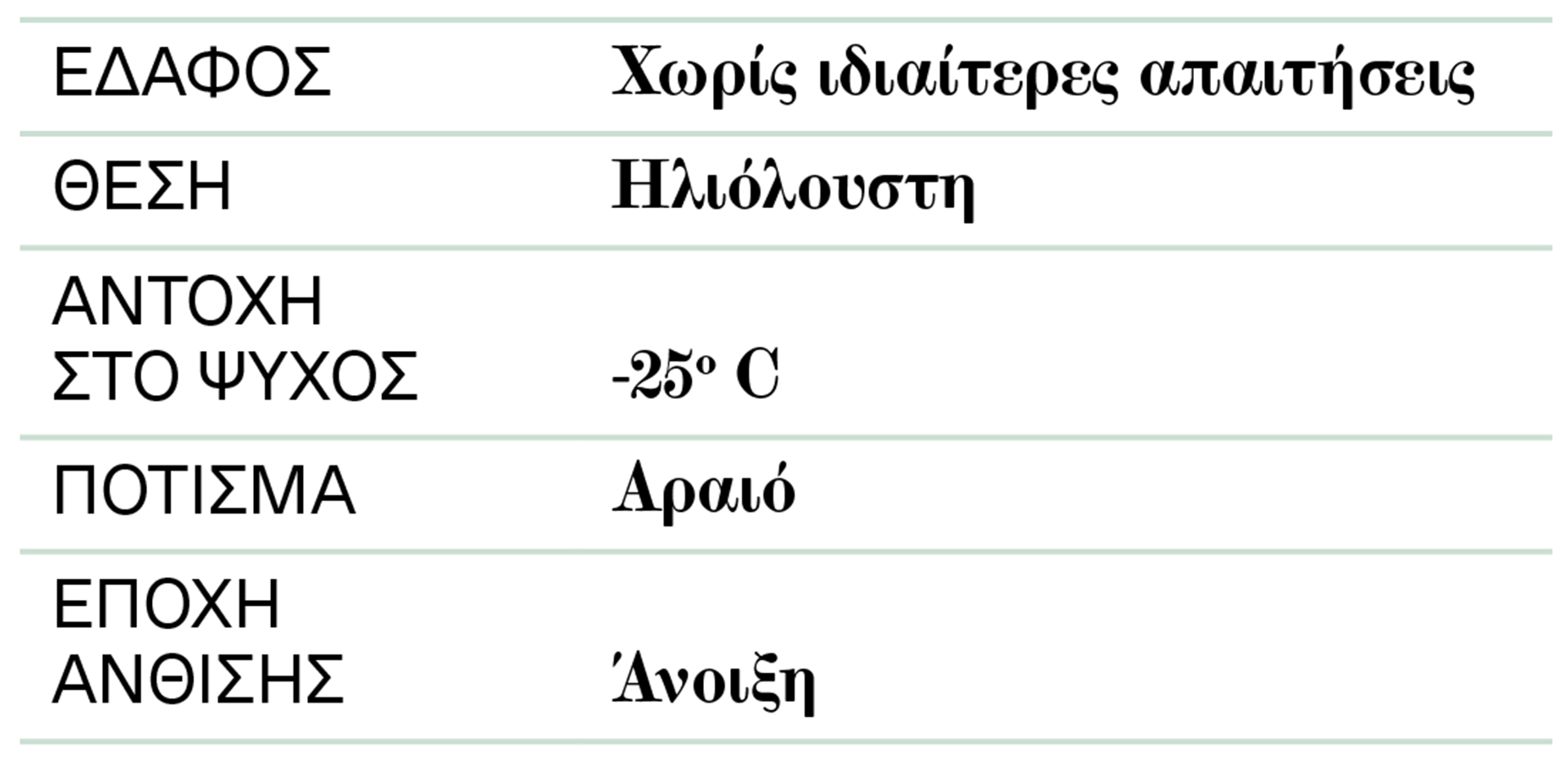 Γκίνγκο: Το φυτό που τονώνει τη μνήμη-2