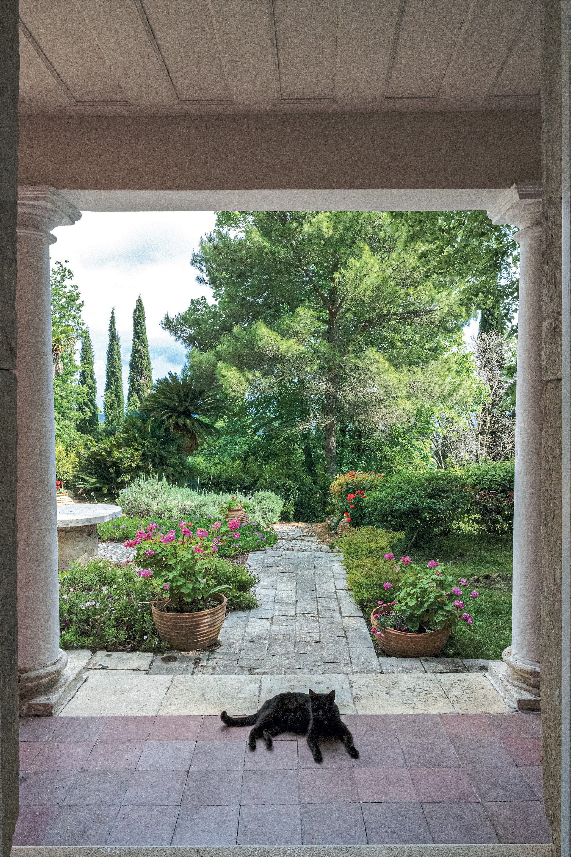 Μία βόλτα στους θαυμαστούς κήπους της Κέρκυρας-3