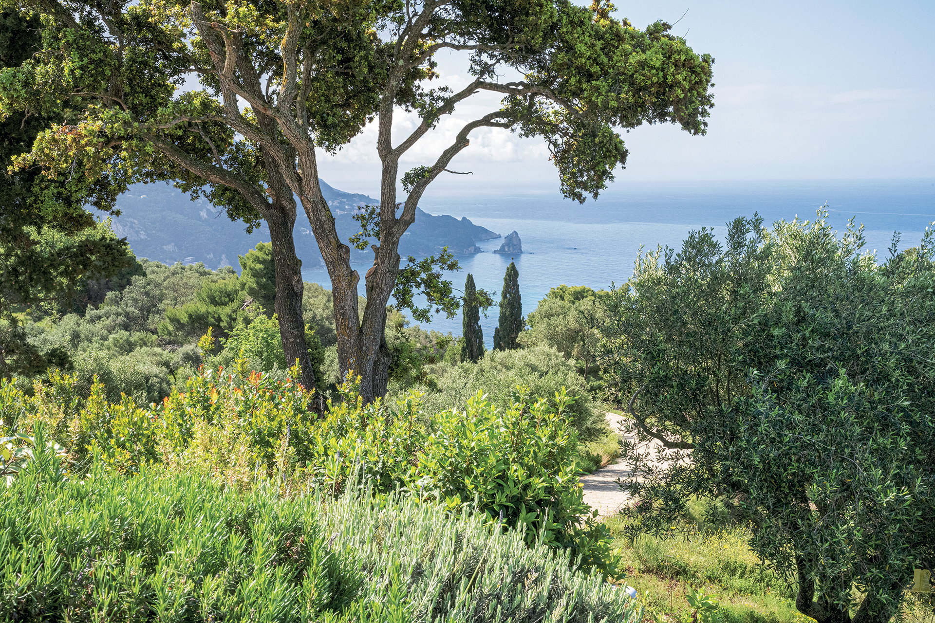 Μία βόλτα στους θαυμαστούς κήπους της Κέρκυρας-5